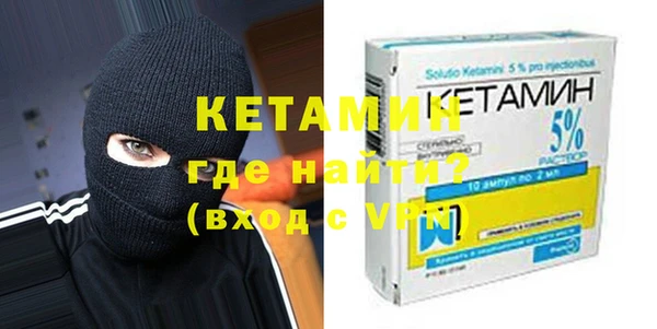 соль ск Дмитриев