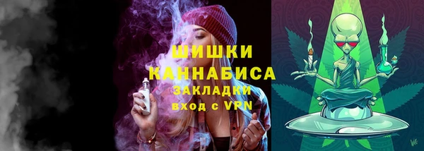 соль ск Дмитриев