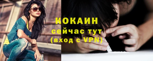 соль ск Дмитриев
