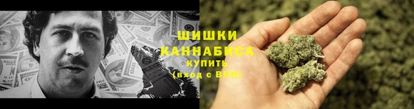 соль ск Дмитриев