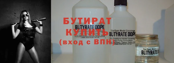 соль ск Дмитриев
