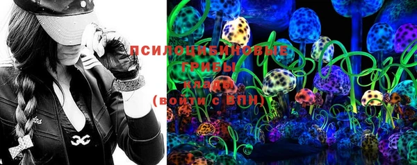 мдпв Дмитров