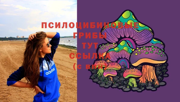 мдпв Дмитров