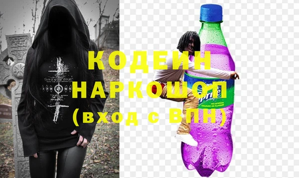 соль ск Дмитриев