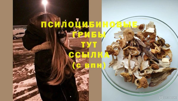 соль ск Дмитриев