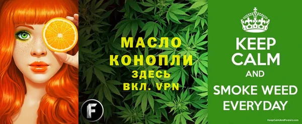 соль ск Дмитриев