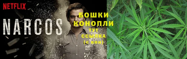 соль ск Дмитриев