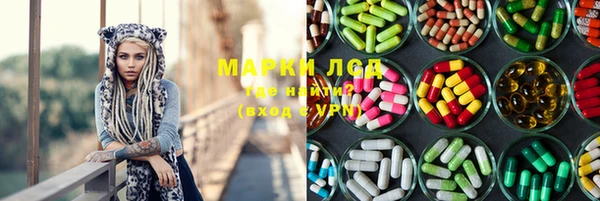 соль ск Дмитриев