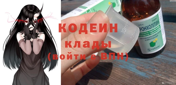 соль ск Дмитриев