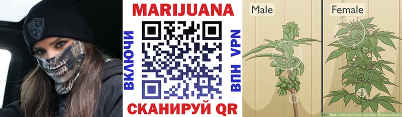 Конопля THC 21%  Кировград 